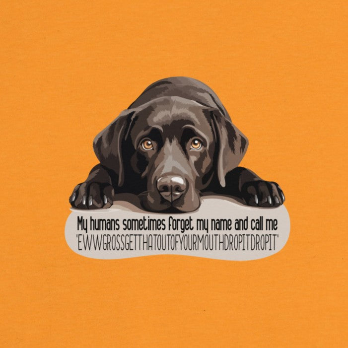 My Human Sometimes Forgets Women's Relaxed T-Shirt