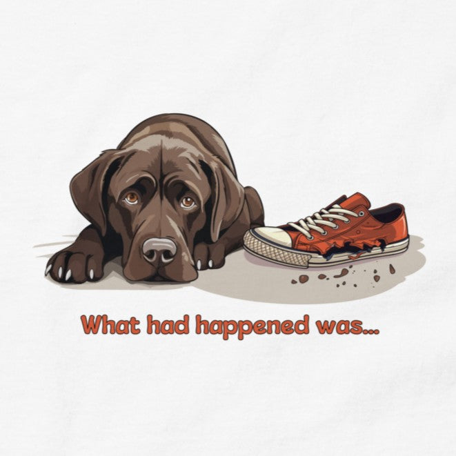 What Had Happened Was Men's classic tee